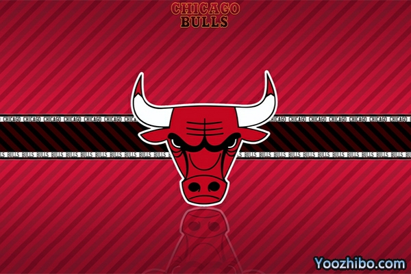 <a href=/lanqiu360zb/bulls/ target=_blank class=infotextkey>公牛</a>队队徽